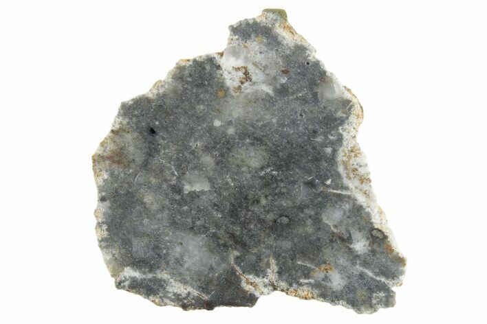 Lunar Meteorite ( g) Slice - Bechar #348183